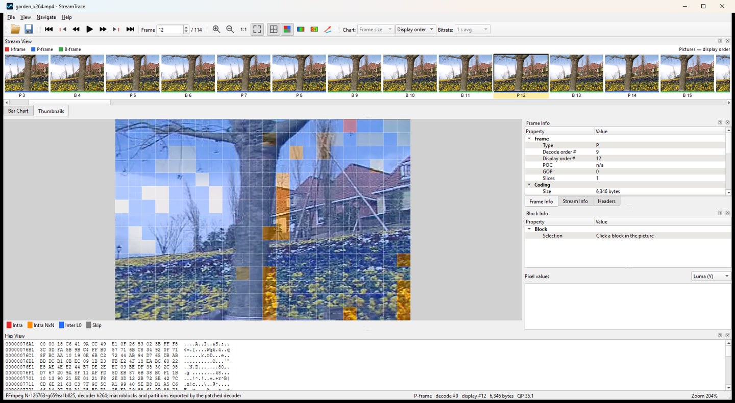 Thumbnail strip of decoded frames above a picture with macroblock types